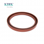 TC 100*120*11 Metric NBR FKM Viton Rotary Shaft Oil Seal Covered Double Lip with Spring