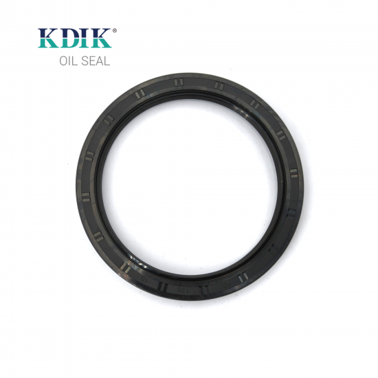 TC 100*125*10 Metric NBR Rotary Shaft Oil Seal Covered Double Lip with Spring
