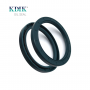 TC 100*125*12 Metric NBR Rotary Shaft Oil Seal Covered Double Lip with Spring