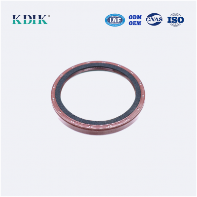 TC 101.57*125*13 NBR FPM FKM Oil Seal Rotary Shaft Oil Seal Auto Spare Parts