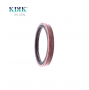 TC 101.57*125*13 NBR FPM FKM Oil Seal Rotary Shaft Oil Seal Auto Spare Parts