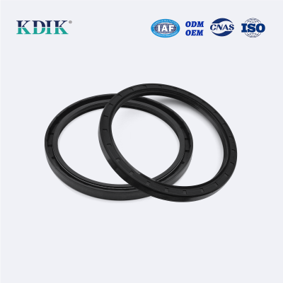 TC 110*130*10 Rotary Shaft Oil Seal Black Color Industrial Hydraulic Oil Seals