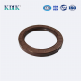 TC 120*160*15 NBR Rubber FKM Material Shaft Oil Seal Covered Double Lip with Spring