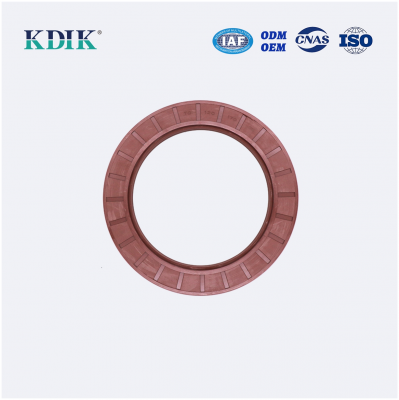 TC 120*170*13 NBR Rubber FKM Material Shaft Oil Seal Covered Double Lip with Spring