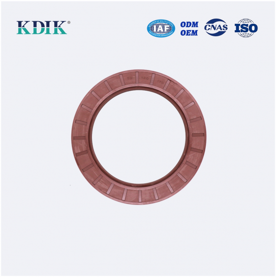 TC 120*170*13 NBR Rubber FKM Material Shaft Oil Seal Covered Double Lip with Spring