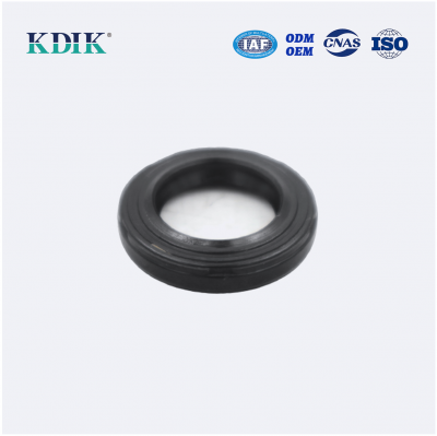 TC4P 19*30*5/6 Power Steering Oil Seal Rack Power Seal