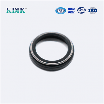 Power Steering Oil Seal Scy 23*30*4/6 NBR KDIK China Oil Seal