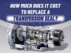 How much does it cost to replace a transmission seal?