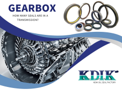 How many seals are in a transmission?