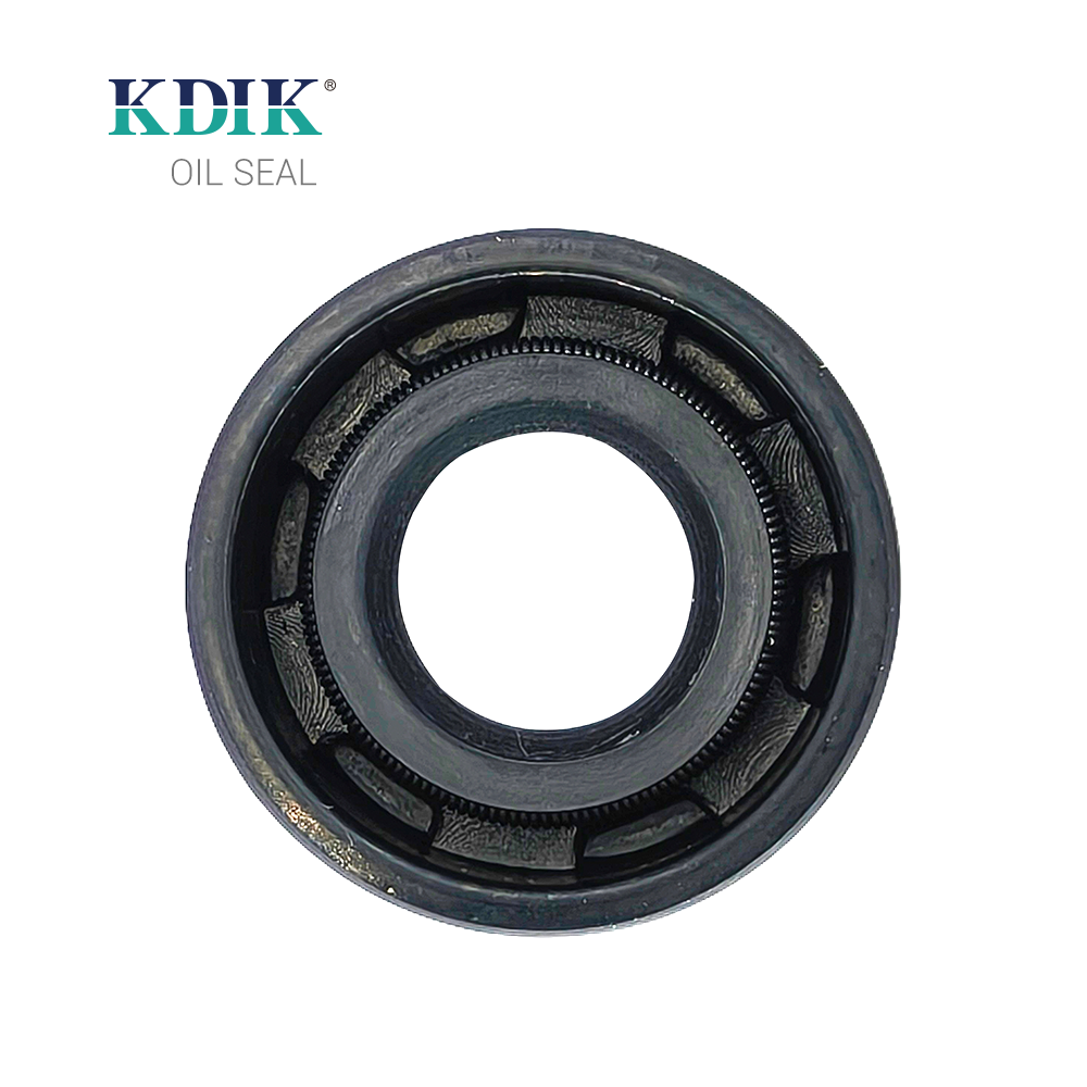 TC 11.6*24*10 Oil Seal Shaft Rubber Double Lip W/Spring China Manufacturer