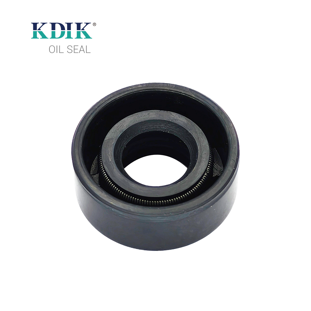 TC 11.6*24*10 Oil Seal Shaft Rubber Double Lip W/Spring China Manufacturer