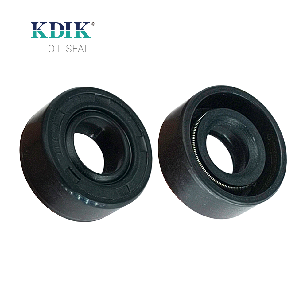 TC 11.6*24*10 Oil Seal Shaft Rubber Double Lip W/Spring China Manufacturer