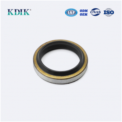 Agricultural Auto Spare Industrial Rubber Gasket Machinery Grease Oil Seal for Axle