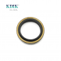 OEM AR2041E5 Specification Dust Seal DKB 35*47*7*10mm KDIK
