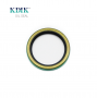 High Quality 25.4*31.75*3.2 Oil Seal 496129 TTO NBR Rubber VB Auto Seal