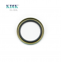 High Quality 25.4*31.75*3.2 Oil Seal 496129 TTO NBR Rubber VB Auto Seal