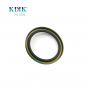 High Quality 25.4*31.75*3.2 Oil Seal 496129 TTO NBR Rubber VB Auto Seal