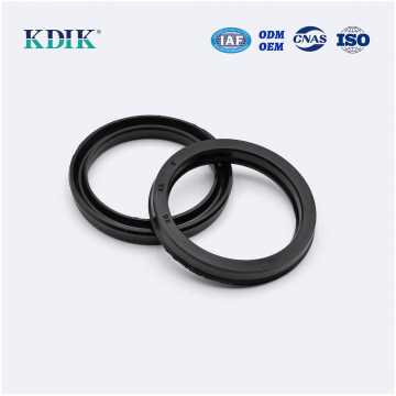 Piston seals