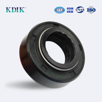 Standard Shaft DC 18*33*10/13 Oil Seal Double Lip Garter Spring Auto Parts