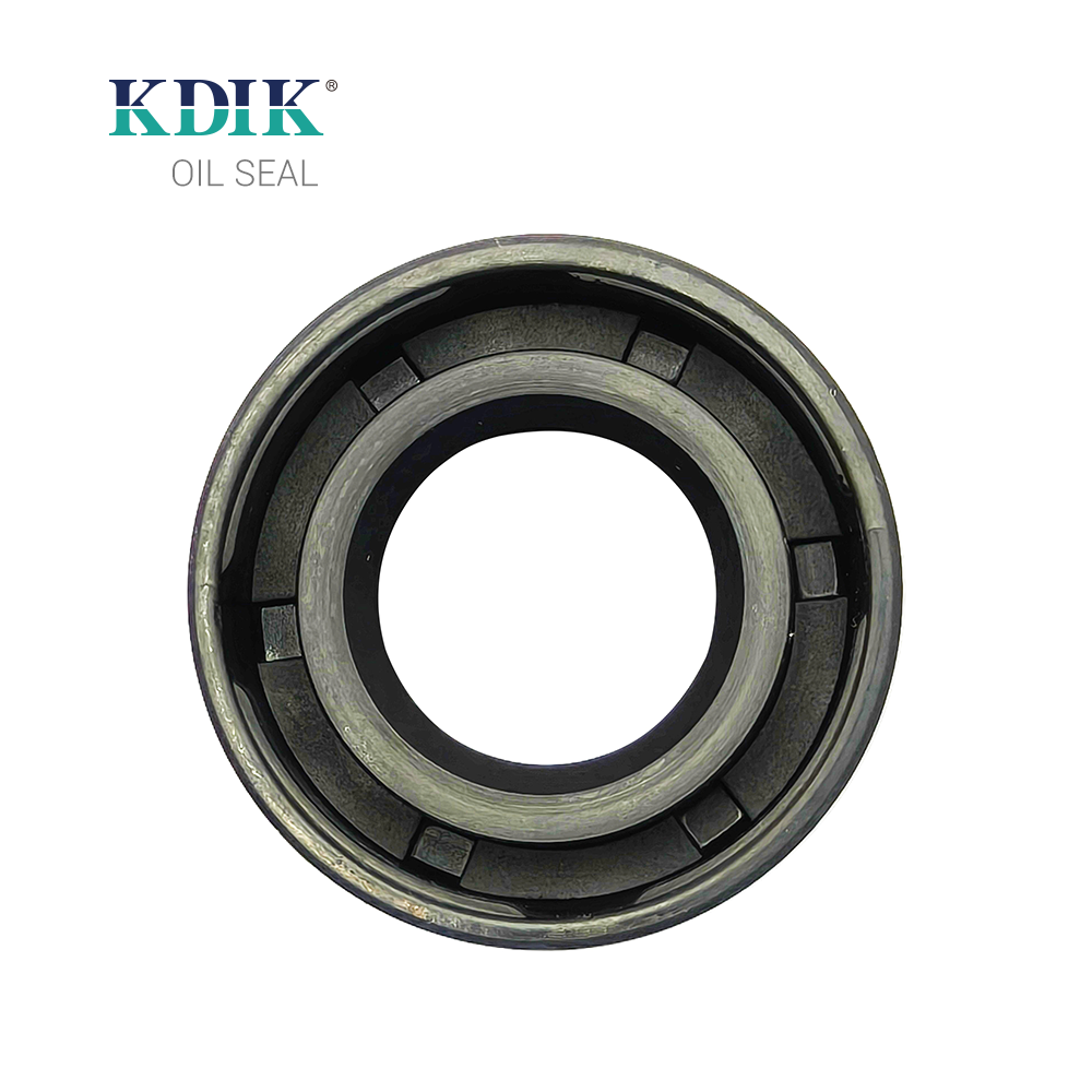 Standard Shaft DC 18*33*10/13 Oil Seal Double Lip Garter Spring Auto Parts