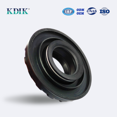 Skeleton Oil Seal Auto Spare Parts 20*45*13.6/20*45.1*5/13.6 Oil Seal 80-K89-Q-C.S