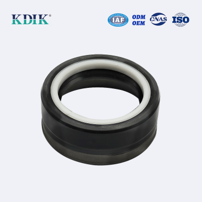 Oil seal Rubber Double lip seal ring
