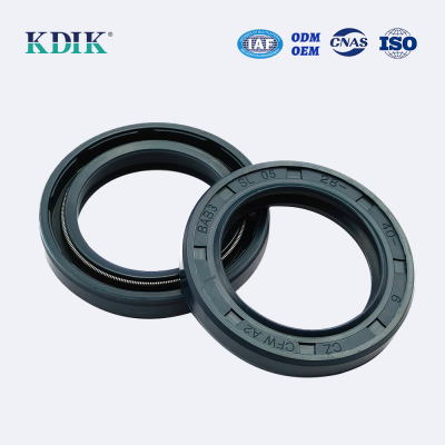 Oil seal Rubber Double lip seal ring