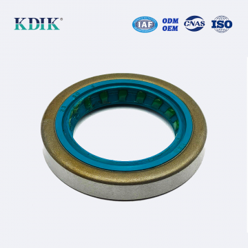 Standard Shaft Oil Seal TB 33*50*8 Oil Seal Auto Oil Seal Parts