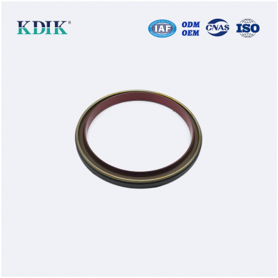 1681405 1876189 134*161*16 Truck Front Crankshaft Oil Seal 19037229B 813717400