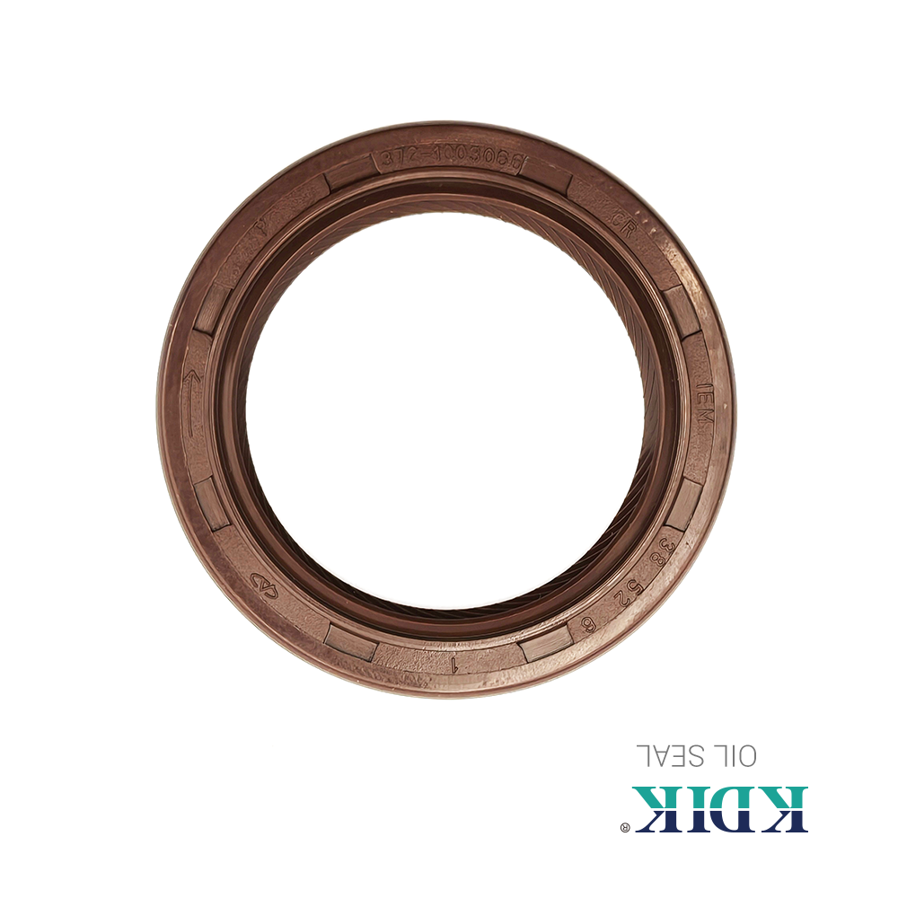 High Quality Camshaft Oil Seal 372-1003066 Oil Seal 38*52*6 Chery QQ Car Parts