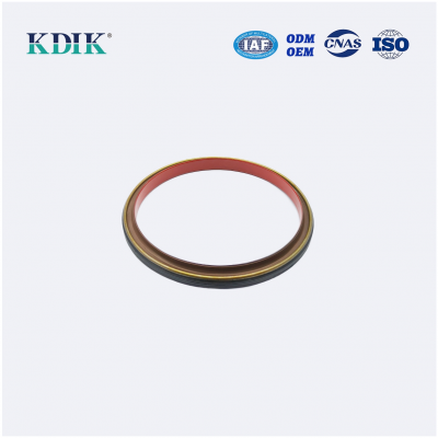 1684106 1876190 166*191*16 Truck Rear Crankshaft Oil Seal 19037227B 813717300 541571