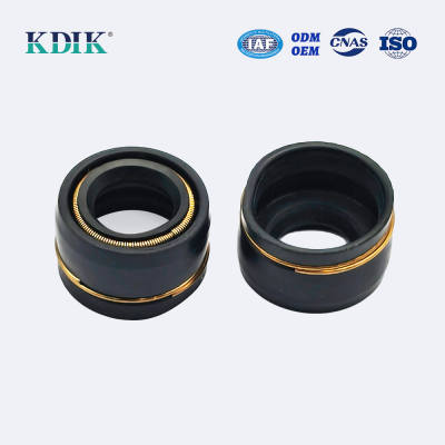 TC OIL SEAL