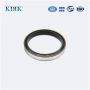 30500185-WSC Pioneer Pump Cassette Oil Seal NBR Rubber Shaft Oil Seal