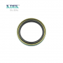 30500199-WSC Pioneer Pump Cassette Oil Seal NBR Rubber Shaft Oil Seal