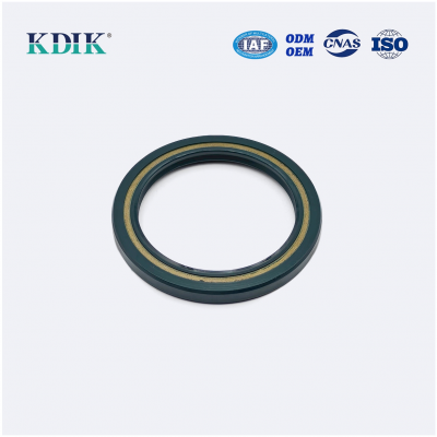 High Pressure TCV Radial Shaft Seal CFW BABSL05