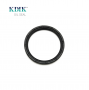 Rear Crankshaft Oil Seal 05166 BRAGF 79*95*11MM for Ford Endura engines