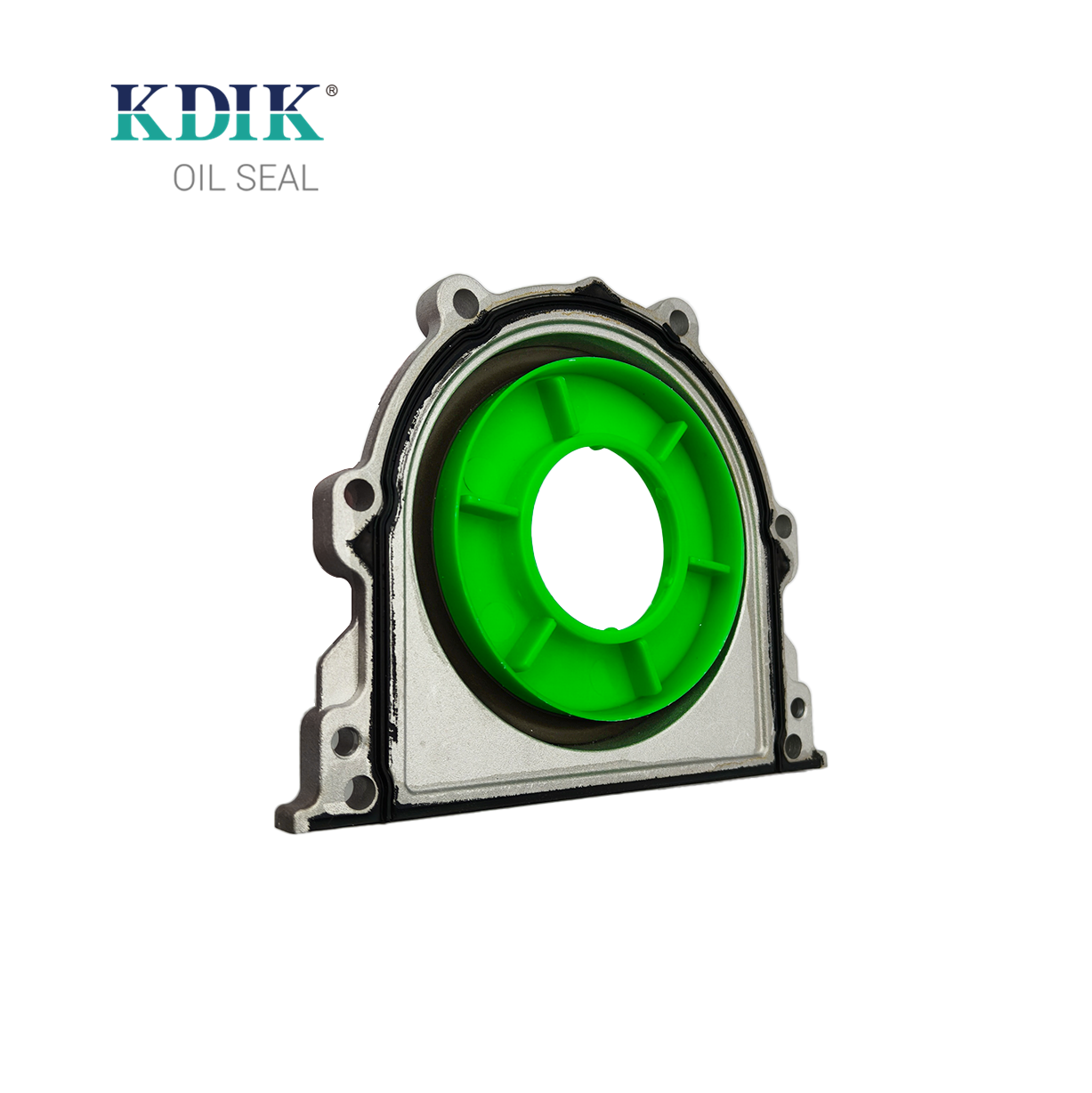 Rear Crankshaft Oil Seal 05813 BSI F10106 Arca