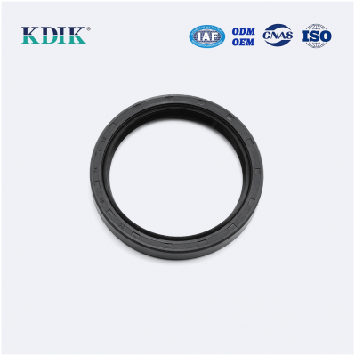 Tight Sealing Double Lip W/Spring Rotary Shaft Rubber Covered Auto Parts TC 60*74*10 Oil Seal