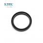 Tight Sealing Double Lip W/Spring Rotary Shaft Rubber Covered Auto Parts TC 60*74*10 Oil Seal