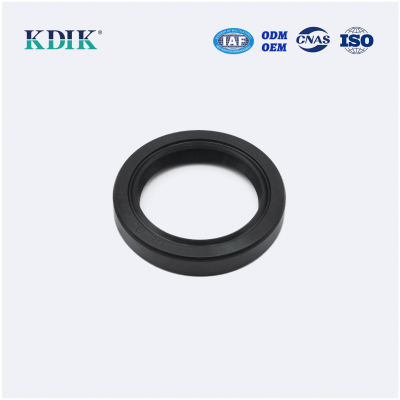 TC Oil seal Rubber Double lip seal ring