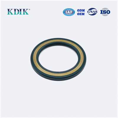 High Pressure TCV Radial Shaft Seal CFW BABSL05