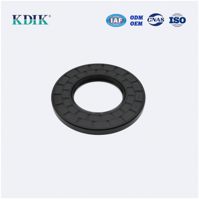 High Quality TC 65*120*10 Oil Seal Rotary Shaft Seal Double Lip W/Spring