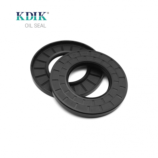 High Quality TC 65*120*10 Oil Seal Rotary Shaft Seal Double Lip W/Spring