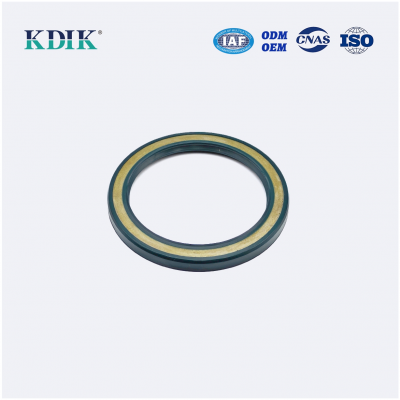 High Pressure TCV Radial Shaft Seal CFW