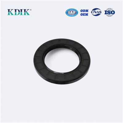 Rotary Shaft TC 70*110*10 Oil Seal Double Lip Rubber Covered W/Spring