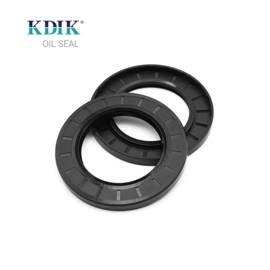 Rotary Shaft TC 70*110*10 Oil Seal Double Lip Rubber Covered W/Spring