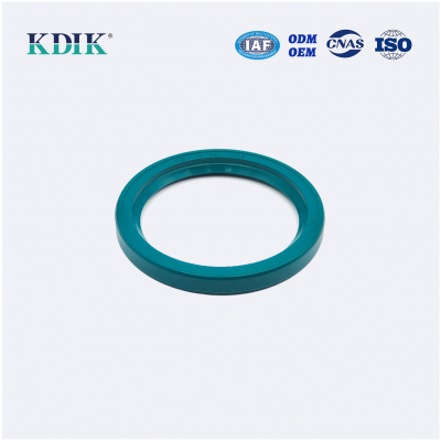 Truck Oil Seal DG Type with Size 75*95*10/02 OEM 740282 Kaco Parts