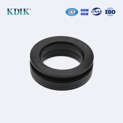 Crankshaft Oil Seal