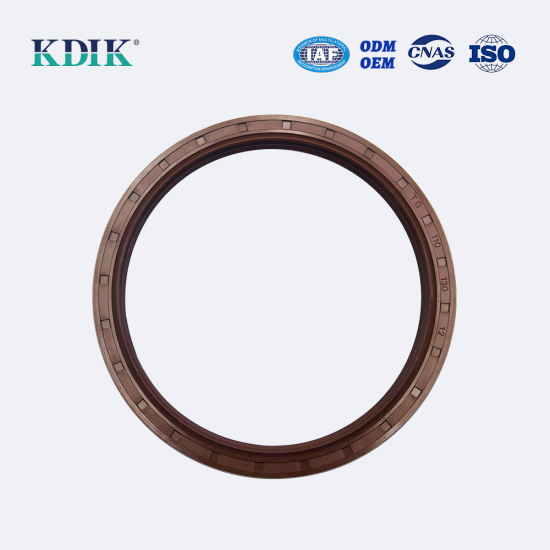 TG 110*130*12 Metric NBR Rotary Shaft Oil Seal Covered Double Lip with Spring