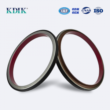 19037227B 813717300 541571 1876190 1684106 166*191*16 Rear Crankshaft Oil Seal